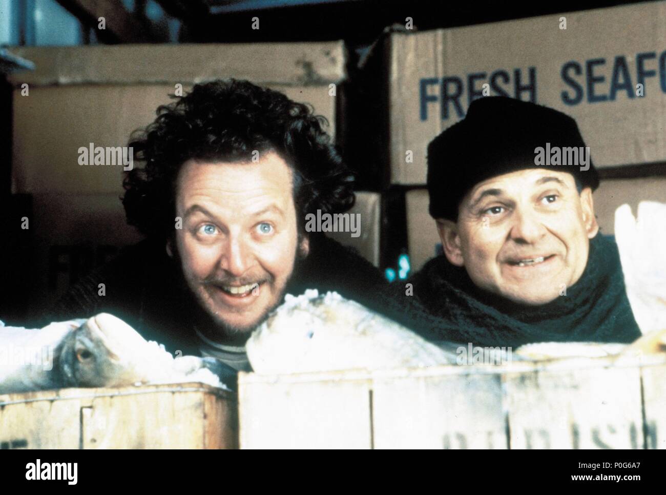 Original Film Title: HOME ALONE 2: LOST IN NEW YORK.  English Title: HOME ALONE 2: LOST IN NEW YORK.  Film Director: CHRIS COLUMBUS.  Year: 1992.  Stars: JOE PESCI; DANIEL STERN. Credit: 20TH CENTURY FOX / Album Stock Photo