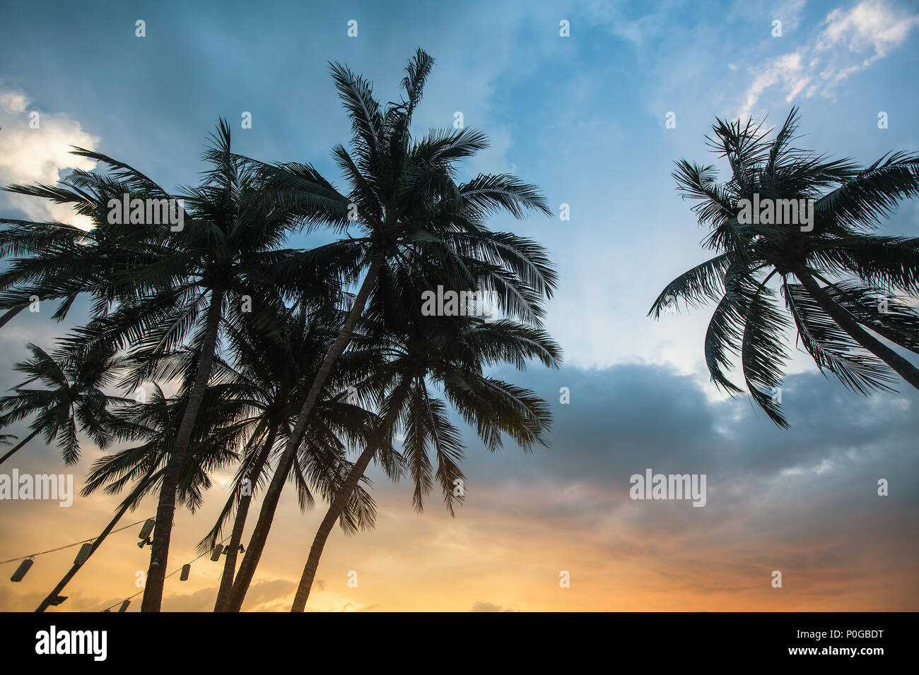 Palm trees silhouetted against sky at sunset. Stock Photo