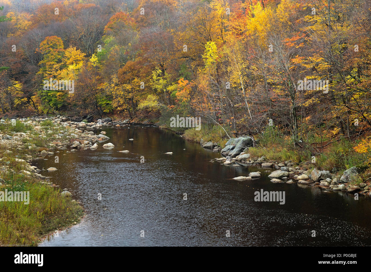 Bright fall colors accent the Connecticut River in New England's Vermont. Stock Photo