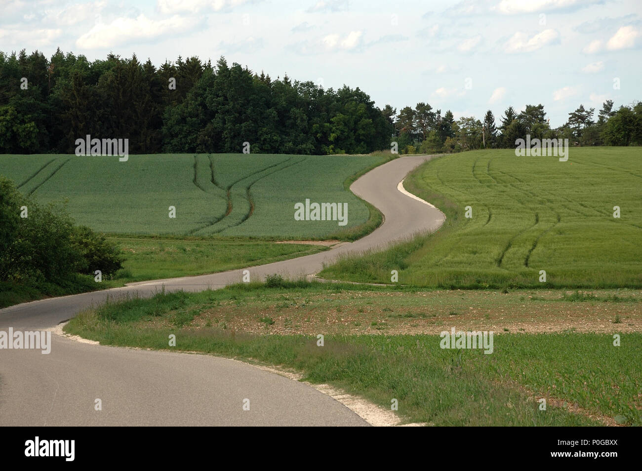 curved asphalt road alongside green grainfields with tire tracks and ...