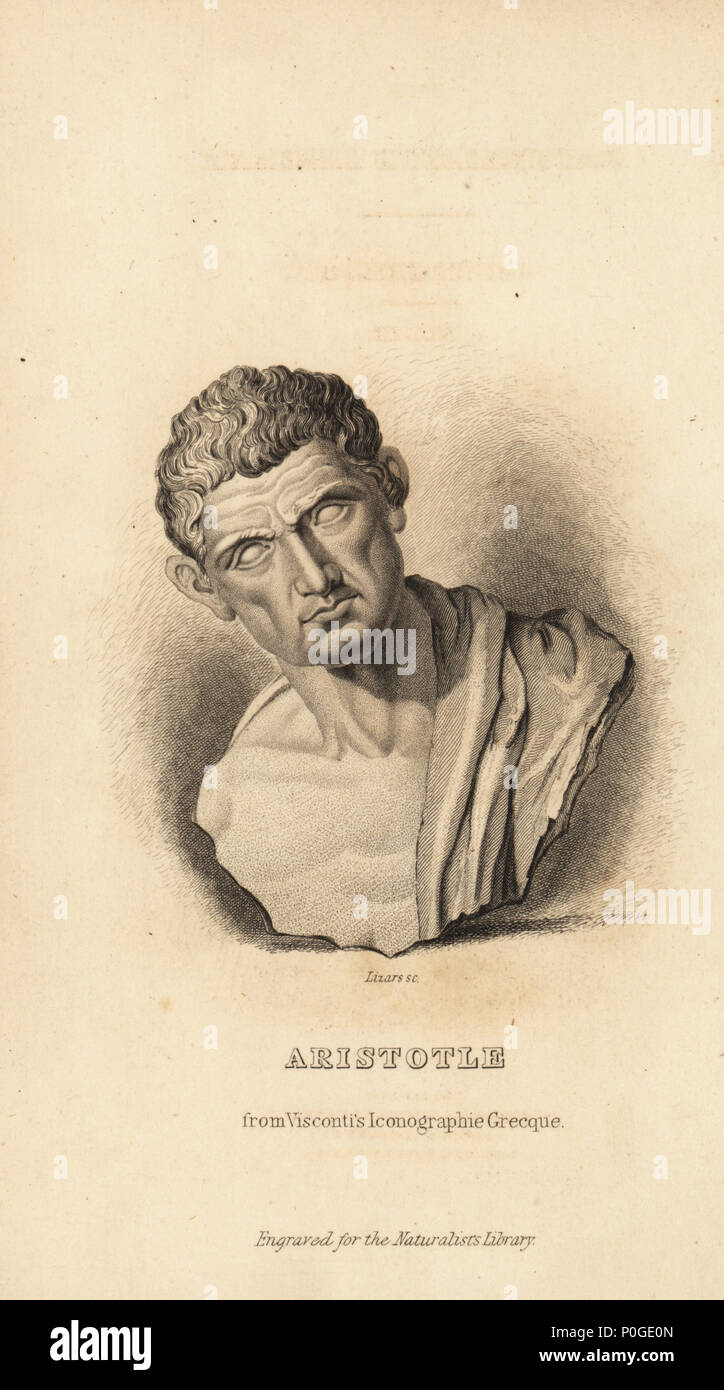 Artistotle, Greek philosopher and naturalist, 384-322BC. Portrait bust from Ennio Quirino Visconti's Iconographie Grecque. Steel engraving by Lizars from Sir William Jardine's The Naturalist's Library, W.H. Lizars, Edinburgh, 1843. Stock Photo