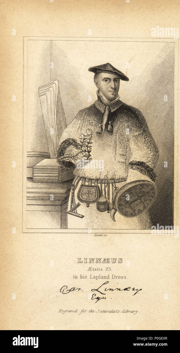 Carl Linnaeus in his Lapland Dress, Swedish botanist, physician and zoologist, inventor of binomial nomenclature, 1707-1778. The costume is the traditional dress of the Sami people, holding a Linnaea borealis flower. After the painting by Martin Hoffman. Steel engraving by Lizars from Sir William Jardine's The Naturalist's Library, W.H. Lizars, Edinburgh, 1843. Stock Photo
