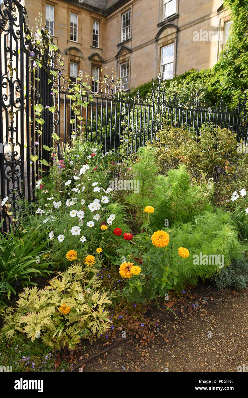 New College Oxford - Herbaceous Border, Railings and Building Beyond. UK. Stock Photo