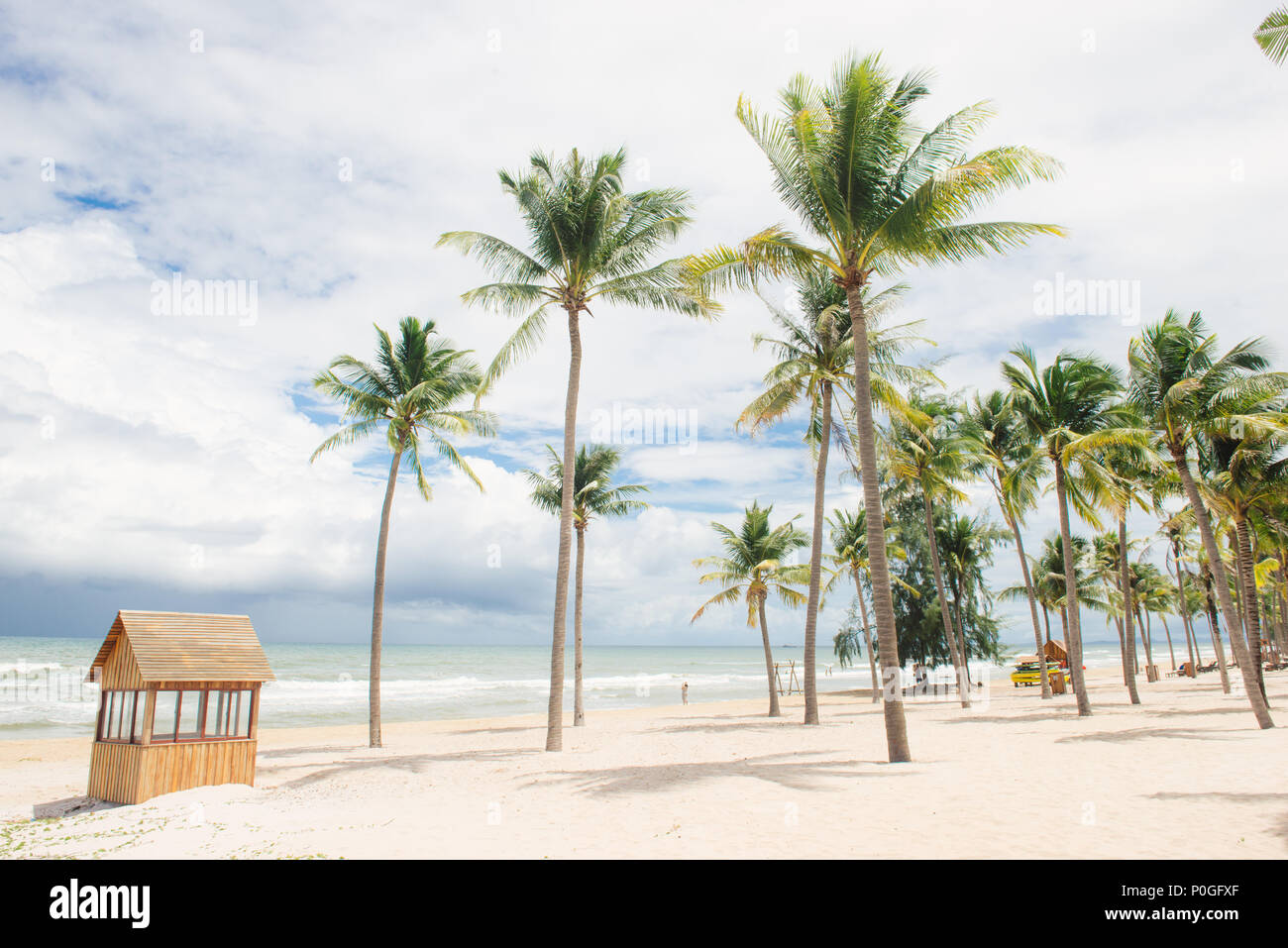 Palm trees natural background. blue sky and tropical plants Stock Photo ...