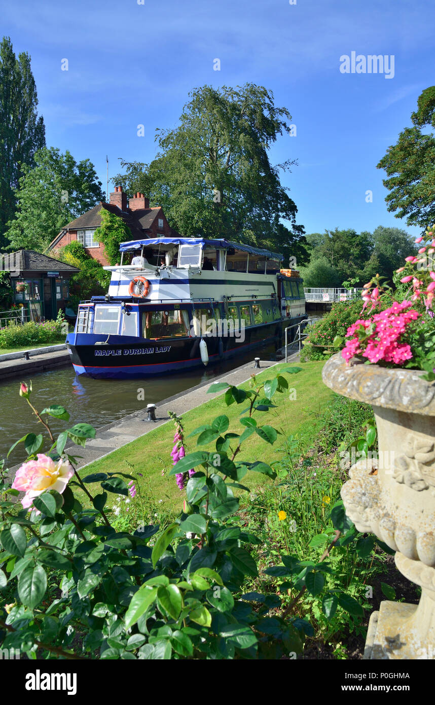 Summer plants flowering at the Sonning Lock with the Mapledurham Lady going through.  Sonning-on-Thames, Berkshire, UK, Great Britain Stock Photo