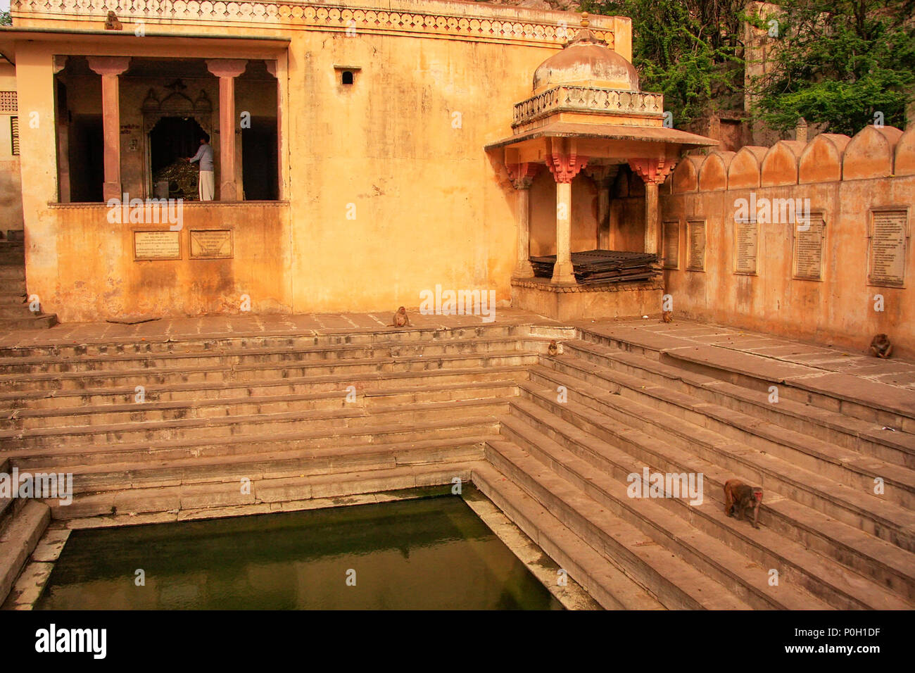 Galtaji Temple near Jaipur, Rajasthan, India. It consists of a series of temples built in to a