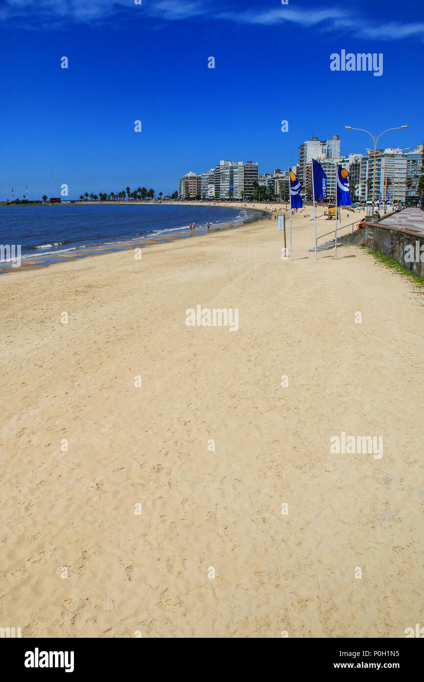 Pocitos beach along the bank of the Rio de la Plata in Montevideo, Uruguay. Montevideo is the capital and the largest city of Uruguay Stock Photo