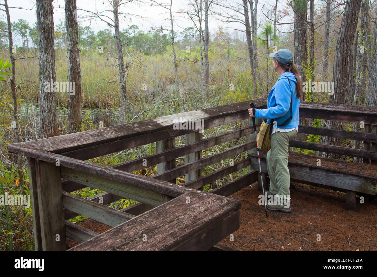 Hungryland Trail boardwalk, J.W. Corbett Wildlife Management Area