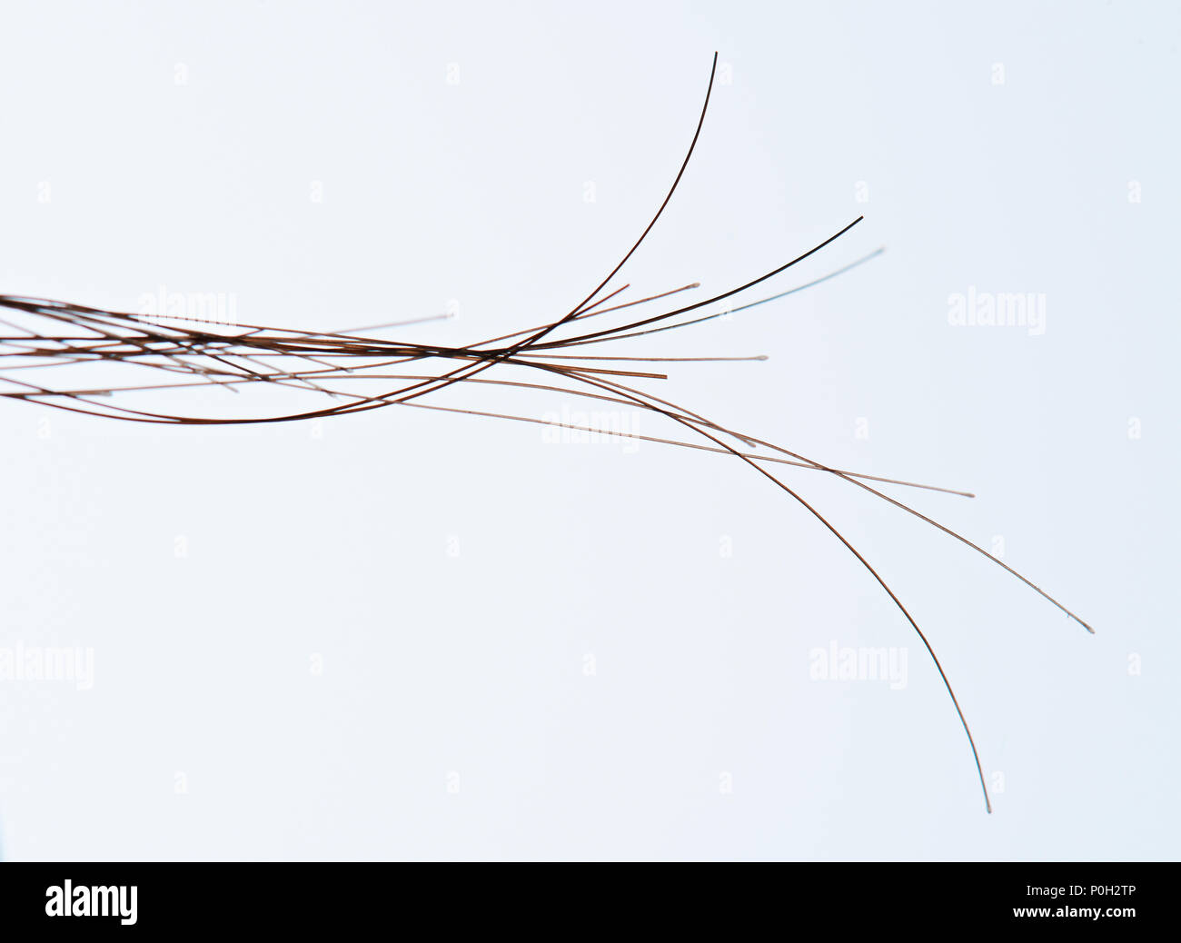 Macro of black human hairs isolated on black background Stock Photo - Alamy