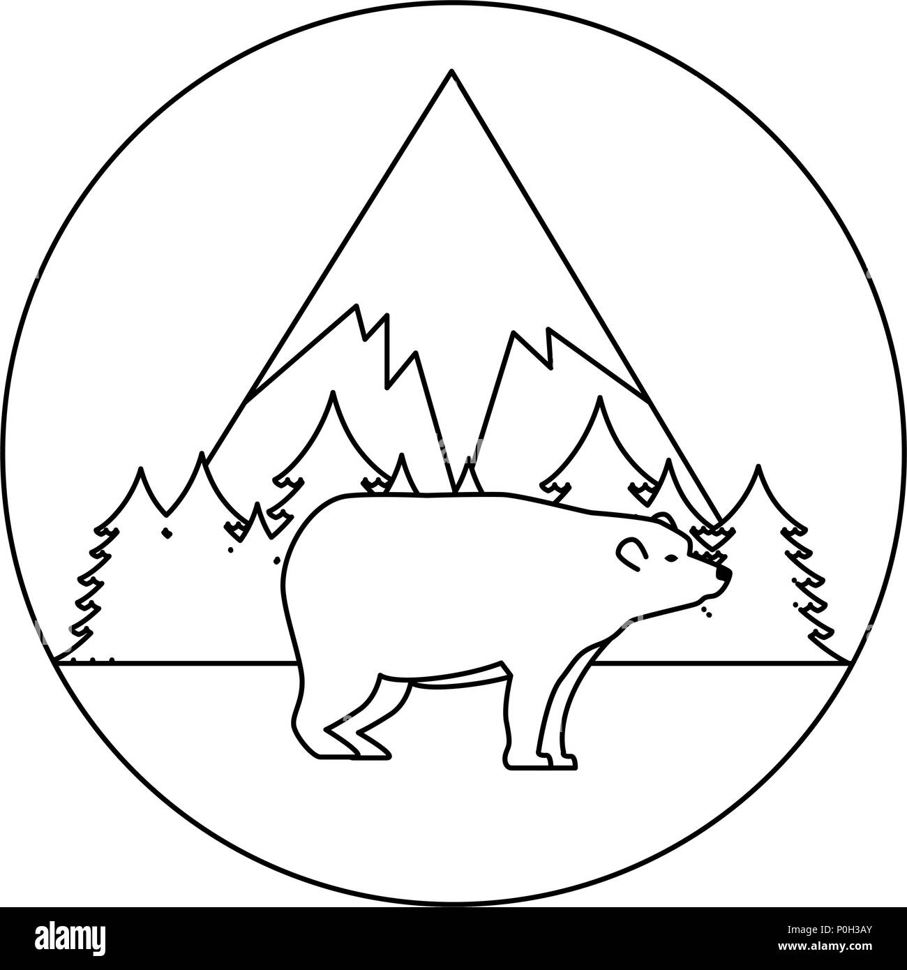 wild bear grizzly icon vector illustration design Stock Vector Image ...