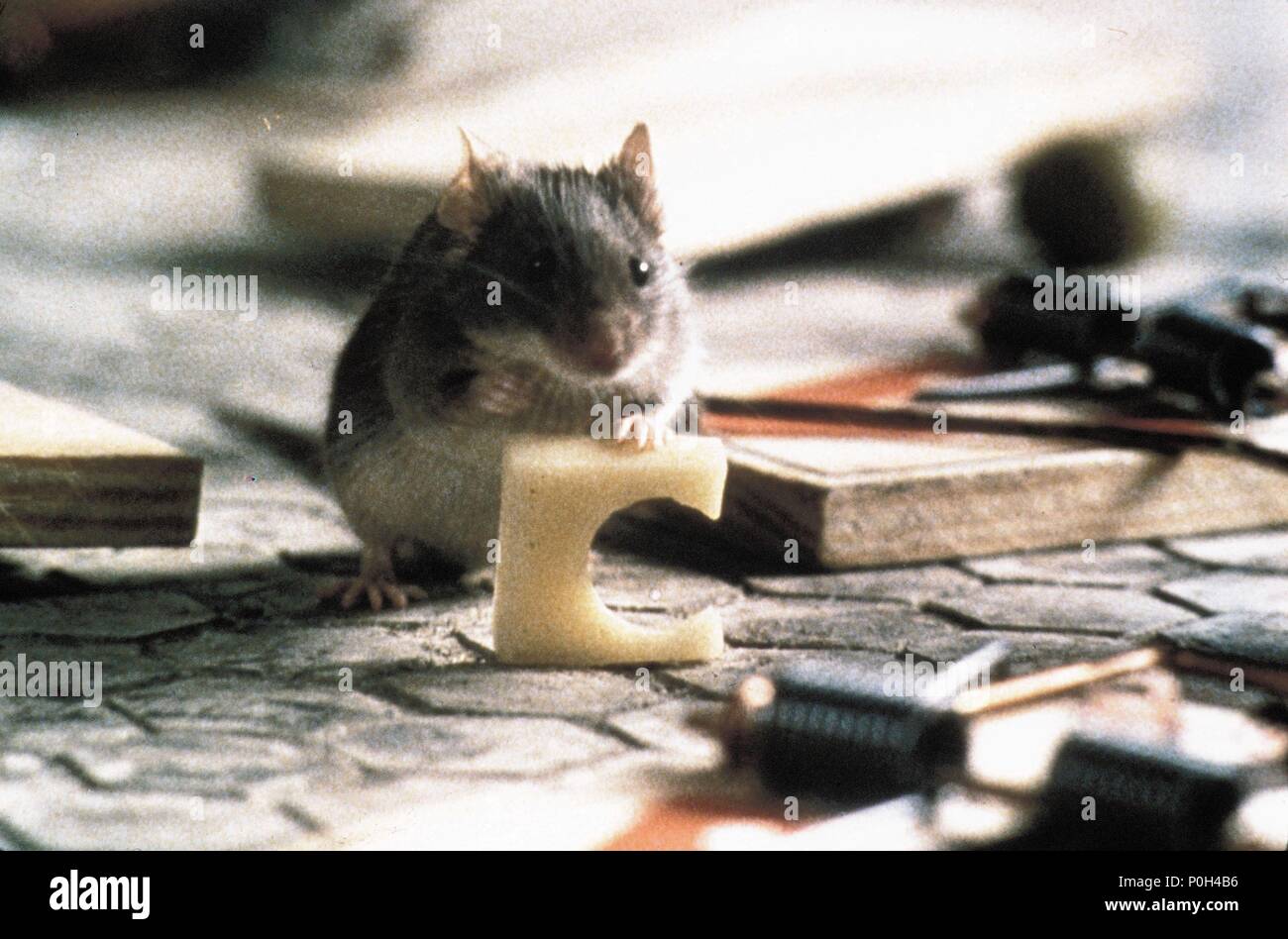 Mousehunt film hires stock photography and images Alamy