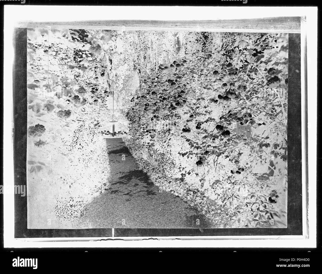 Classical pathway Black and White Stock Photos & Images Alamy