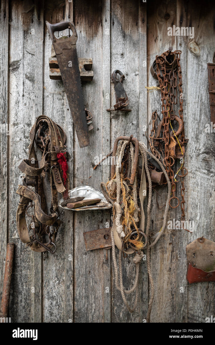 Retro horse harness and other hand tools hanging on wooden wall of old barn. Stories about rural life in Ukraine Stock Photo