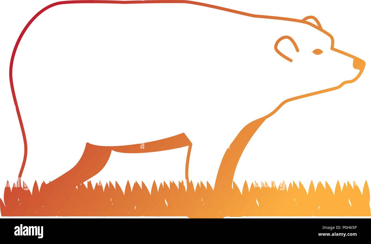wild bear grizzly icon vector illustration design Stock Vector Image ...
