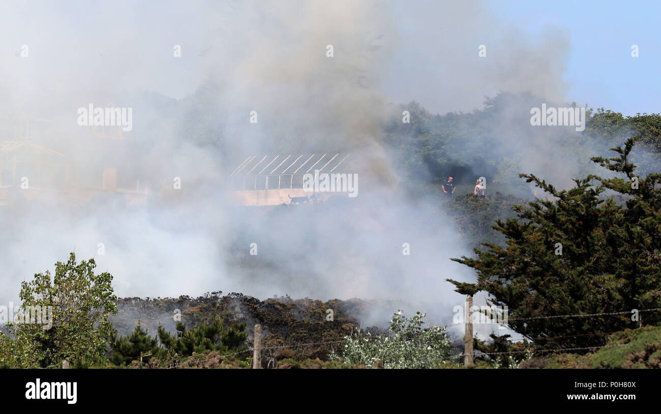 Firefighters battle a gorse fire at Howth Head in Dublin as the hot ...