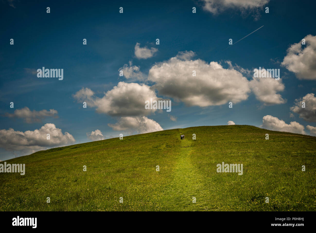 Knap Hill Neolithic causewayed enclosure in the Vale of Pewsey, Wiltshire, UK Stock Photo