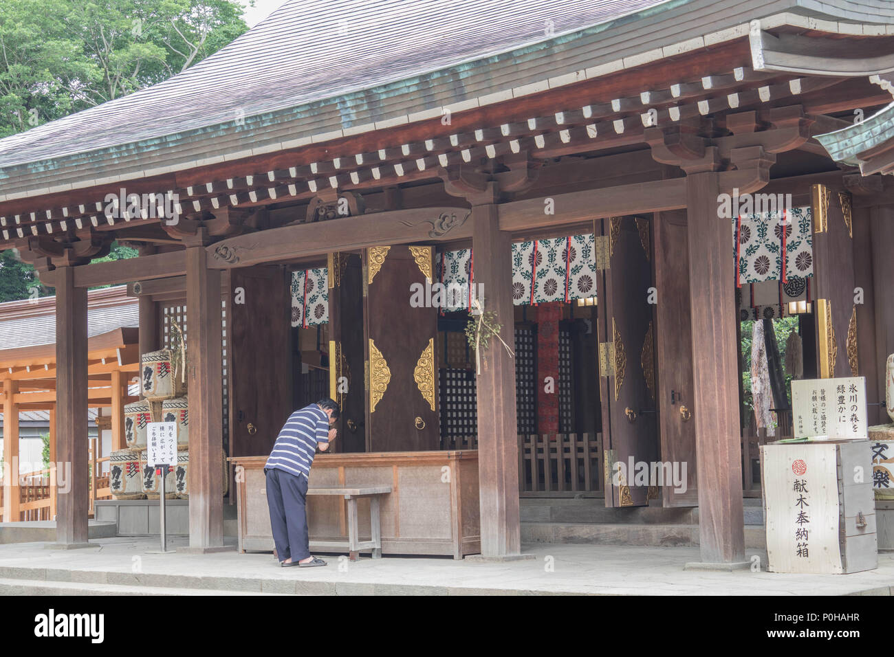 Man bowing in prayer at Hikawa Jinja shrine, Omiya, Saitama,Japan Stock Photo