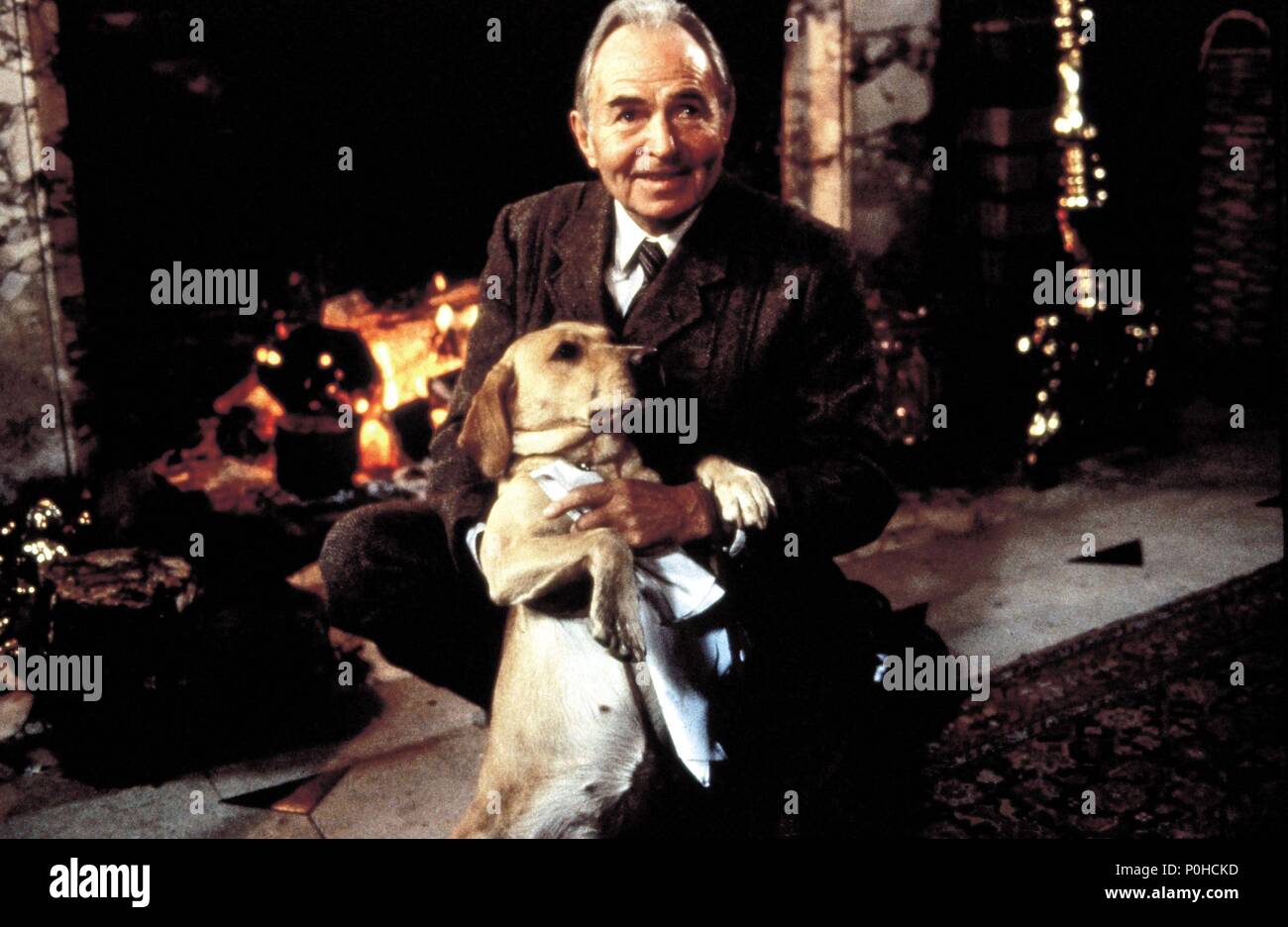 The shooting party mason hi-res stock photography and images - Alamy