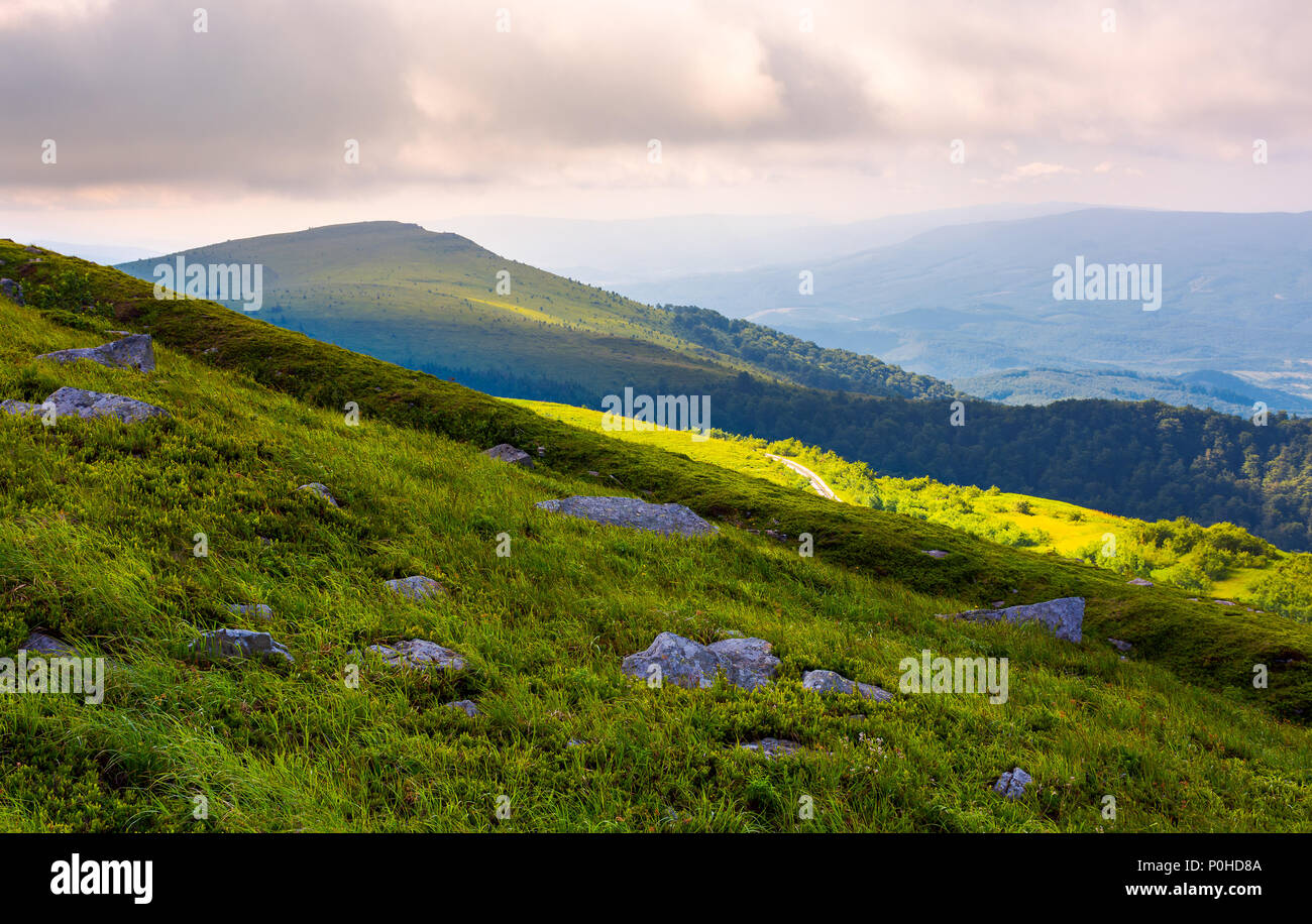 grassy slopes of Runa mountain in the morning. beautiful summer landscape of Carpathian mountains Stock Photo