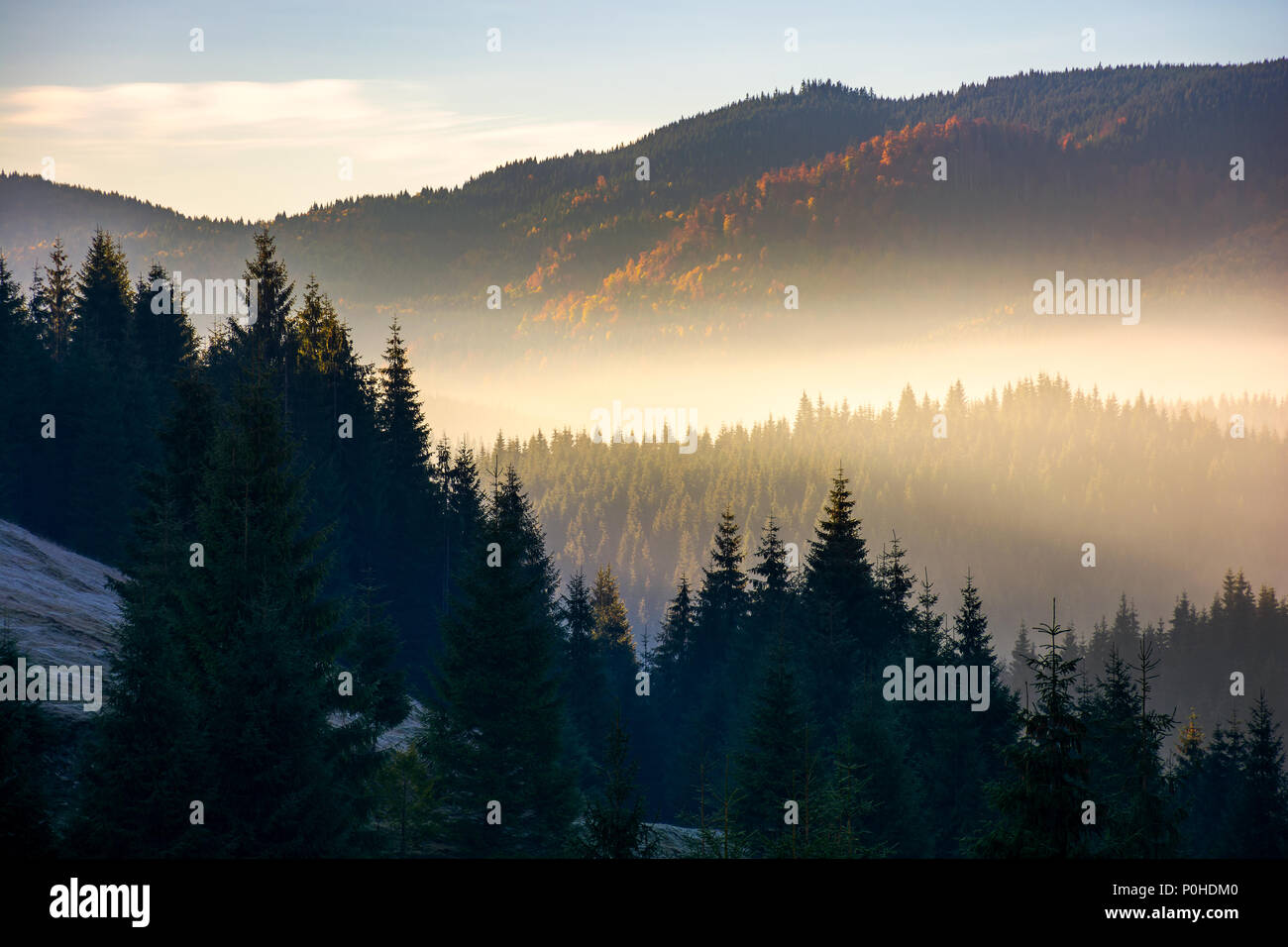 glowing fog in mountains at sunrise. beautiful autumn scenery of Apuseni Natural Park in Romania Stock Photo