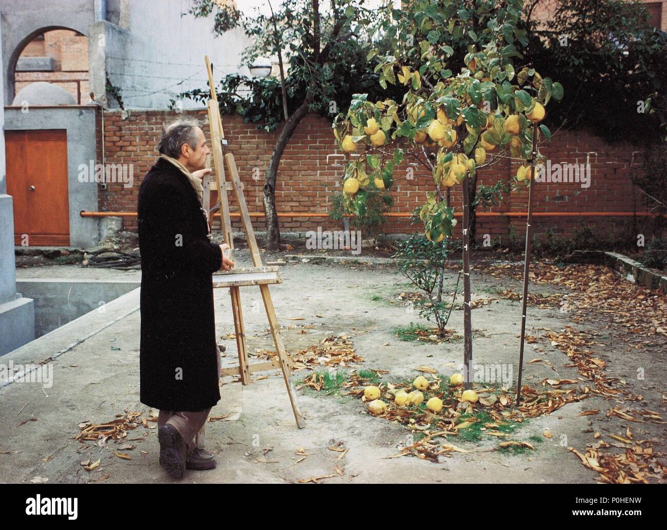 El Sol del membrillo English title: The Quince Tree Sun Antonio