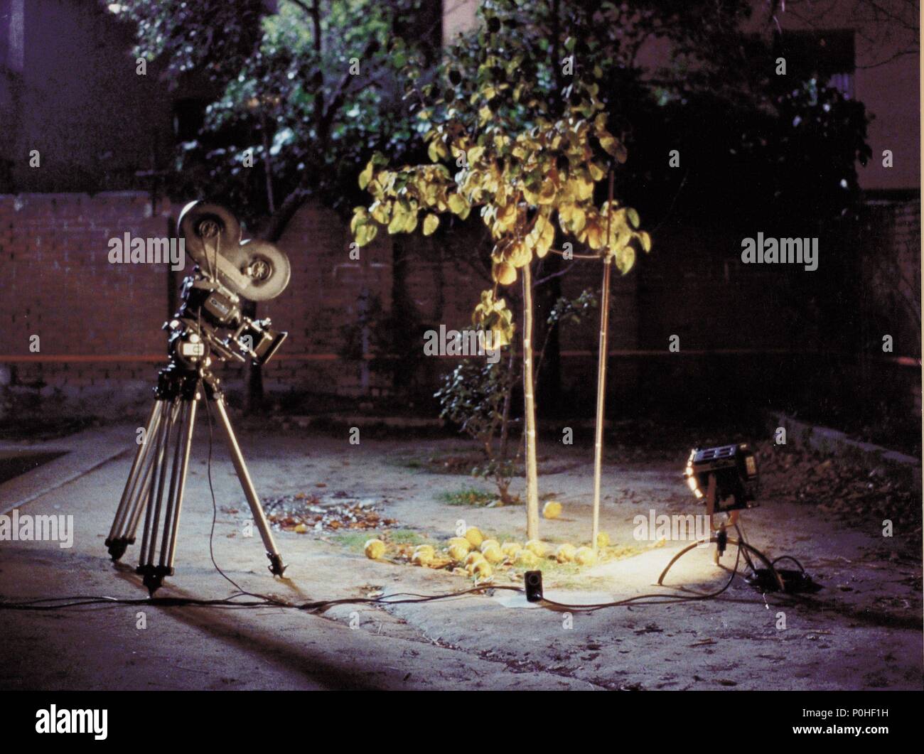 Original Film Title: EL SOL DEL MEMBRILLO. English Title: THE