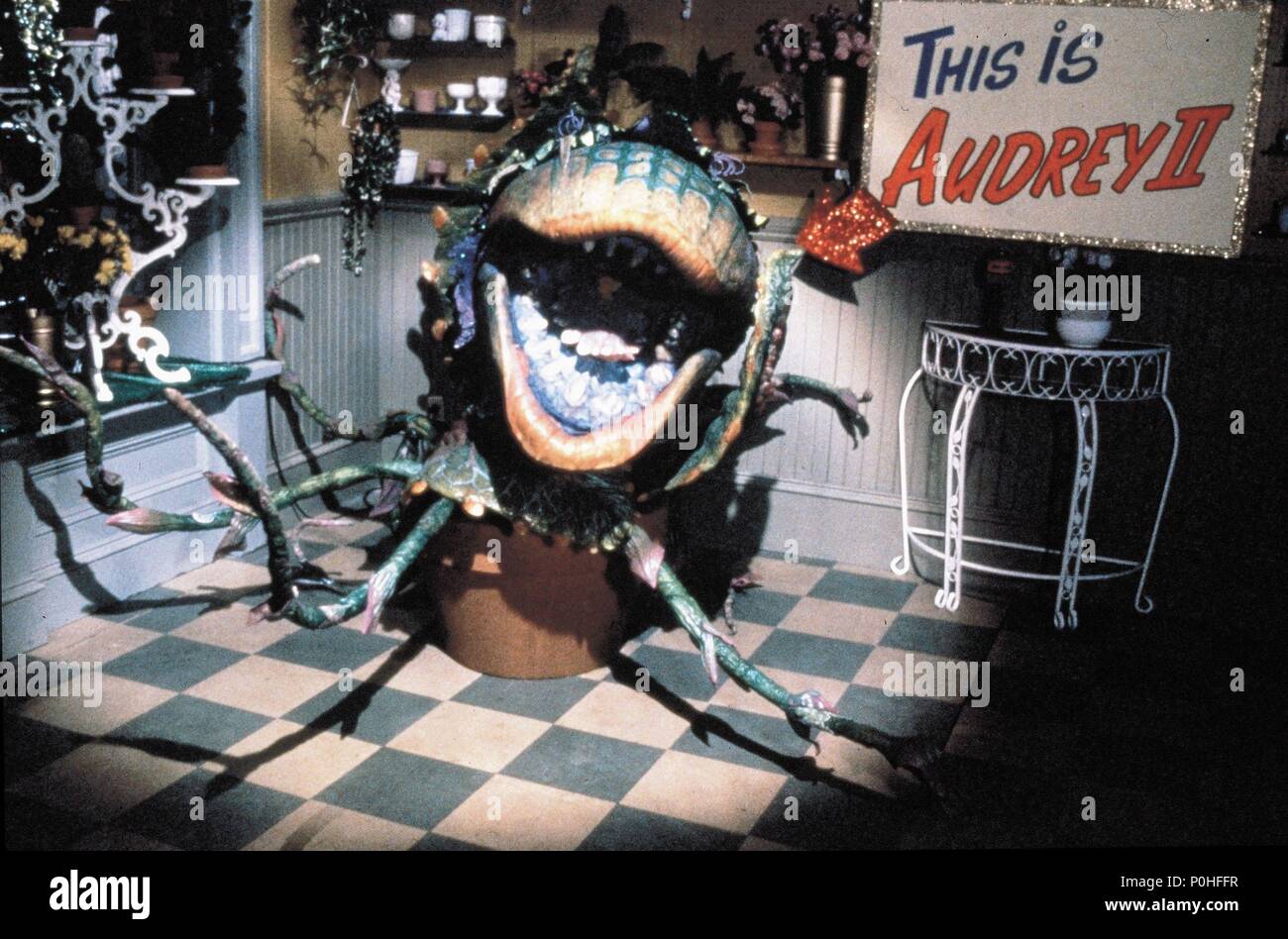 Little shop of horrors plant hi-res stock photography and images - Alamy, image size:1300x948