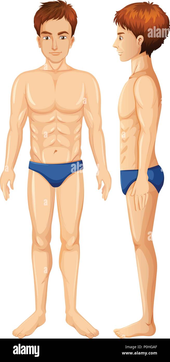 A Vector of Man Body illustration Stock Vector Image & Art - Alamy