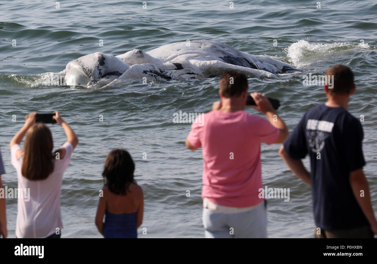 People Mueritz Stock Photos People Mueritz Stock Images Page 3