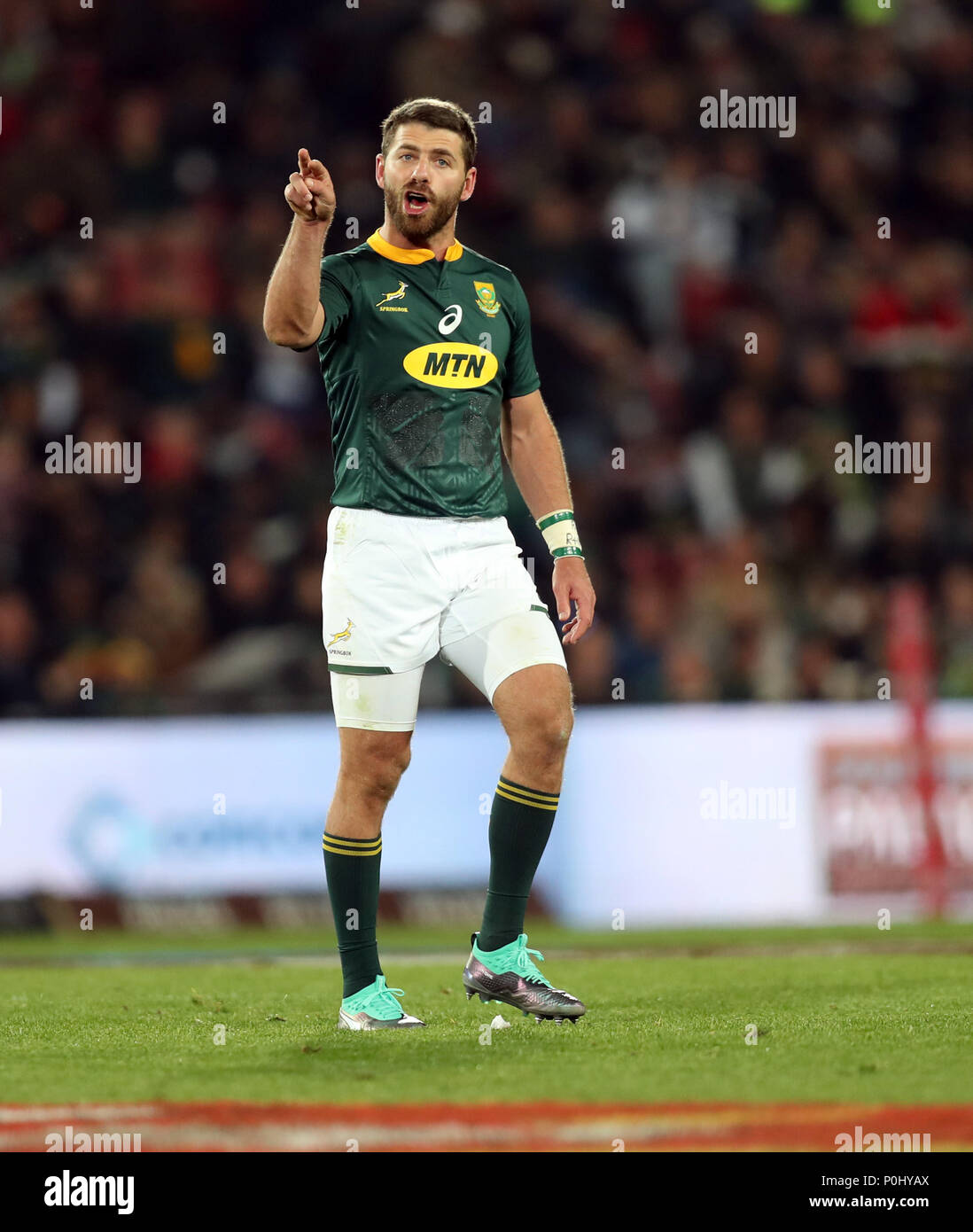 Willie Le Roux Springbok