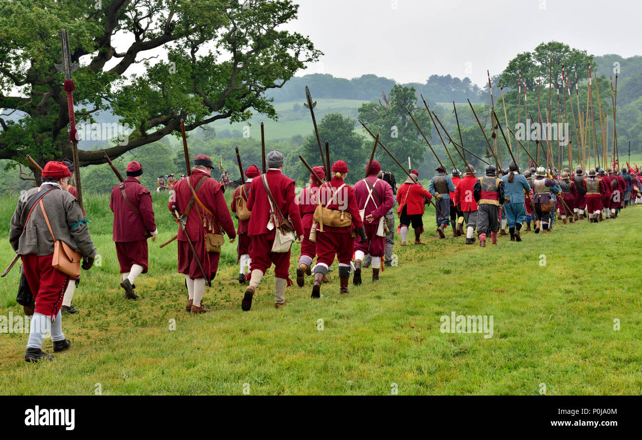 17th century military musketeers and pikemen marking across field to battle Stock Photo