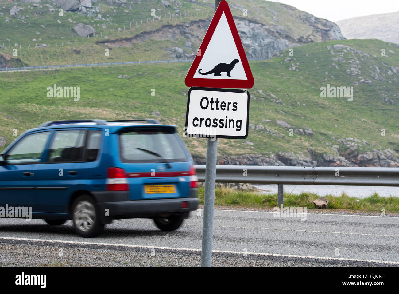 Eurasian otter / European otter (Lutra lutra) road warning sign for otters crossing street in coastal Scotland, UK Stock Photo
