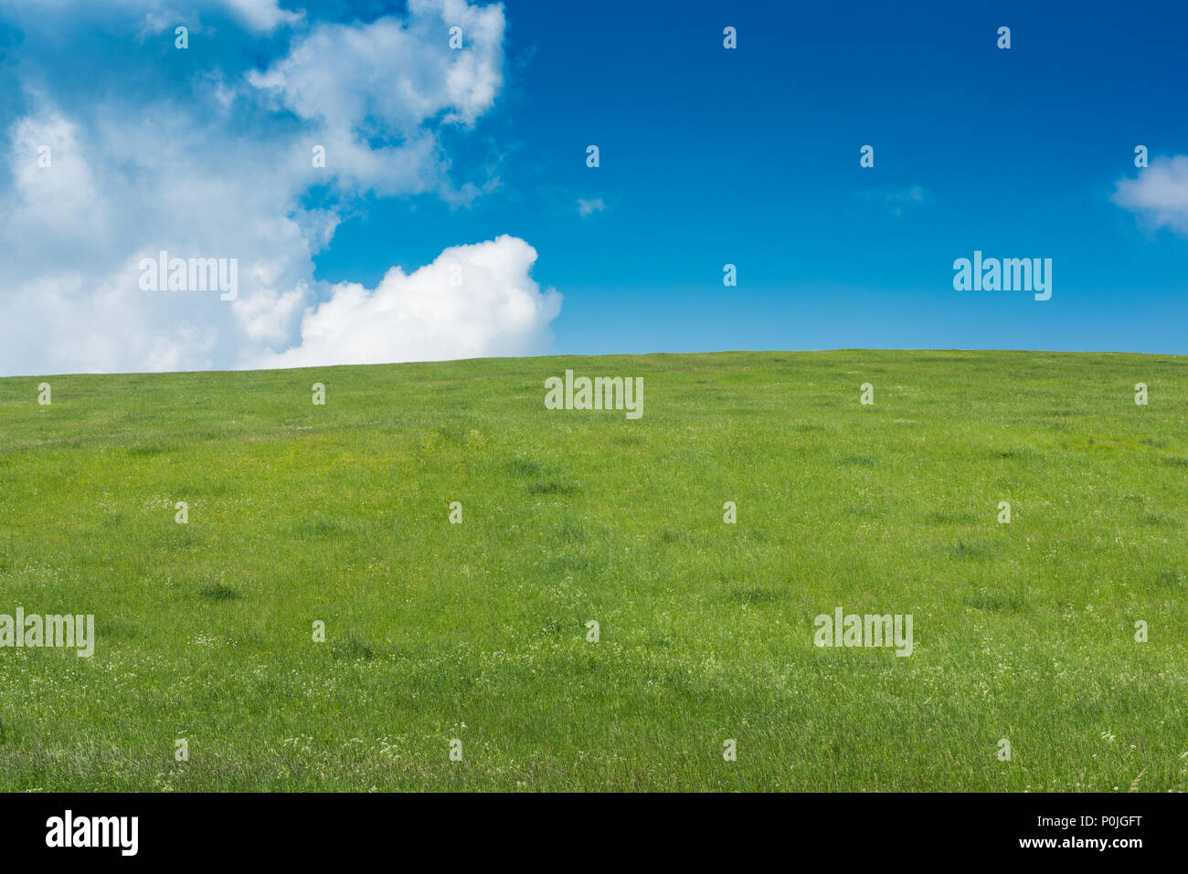 Green grass field on small hills and blue sky with clouds Stock Photo ...