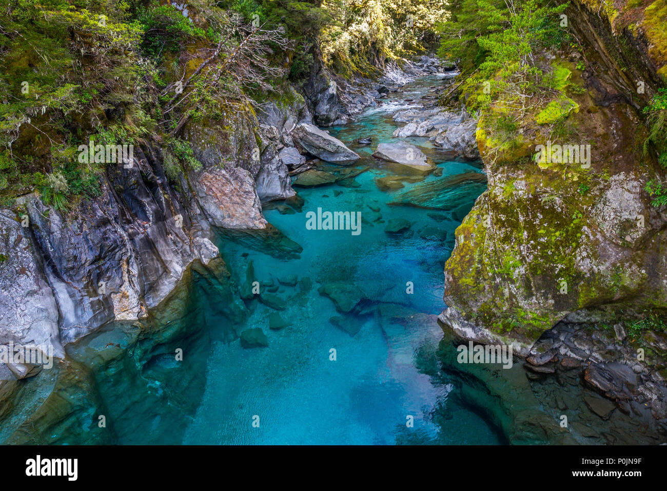 Blue Pools is the most famous attraction in Haast Pass. Located in South  Island of New Zealand. Blue pool track is a short walk from State Highway 6  Stock Photo - Alamy