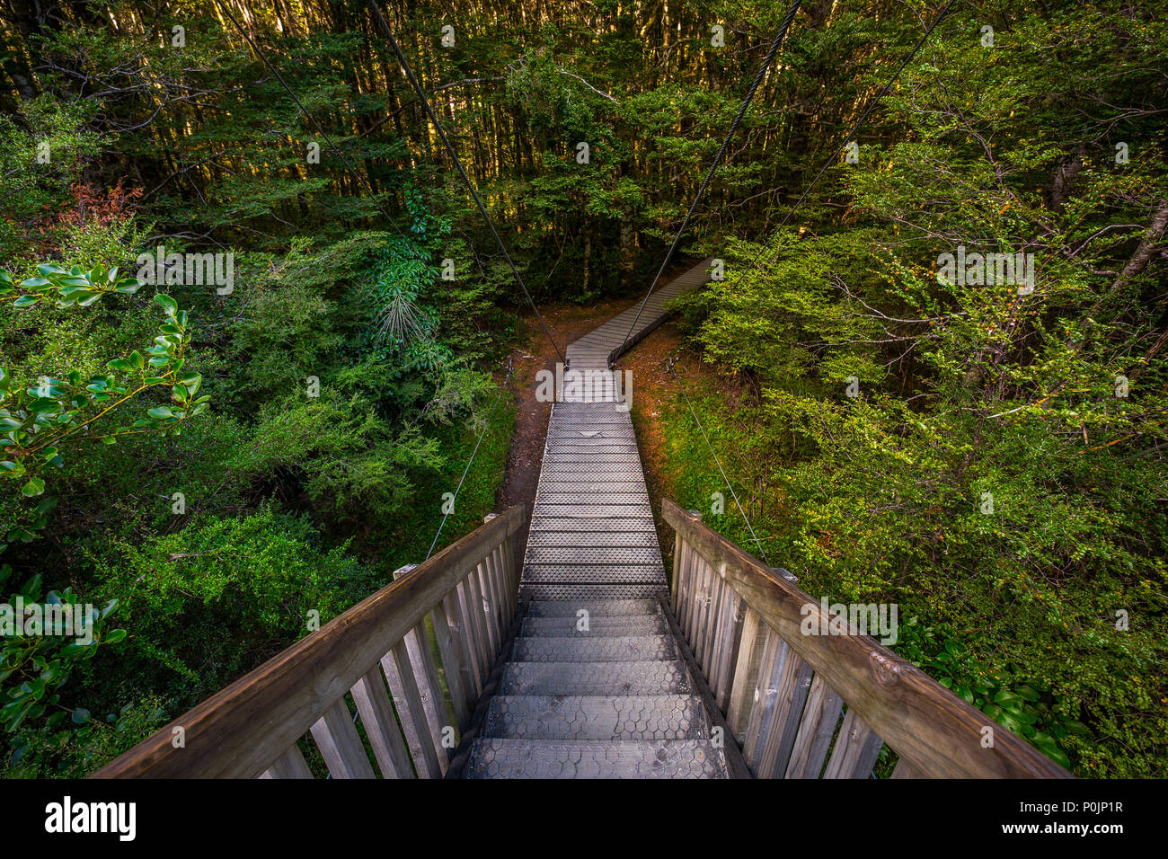 Track at Blue Pools, The most famous attraction in Haast Pass. Located 