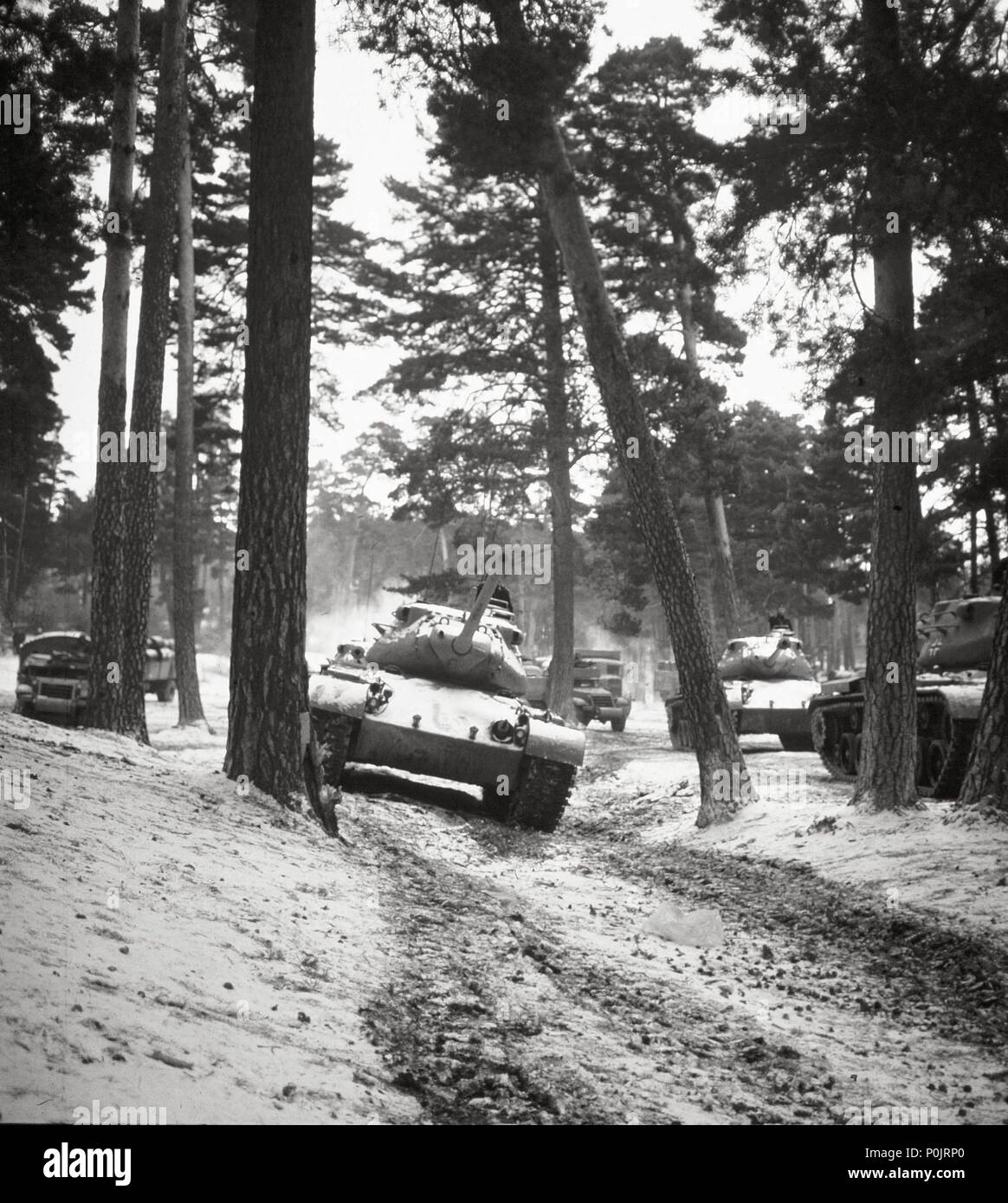 Battle of bulge forest hi-res stock photography and images