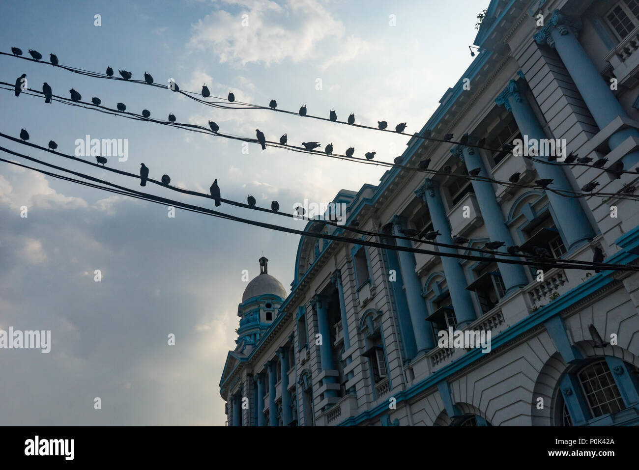 Pigeons on telephone wires against cloudy sky and colonial architecture in Yangon Myanmar Stock Photo