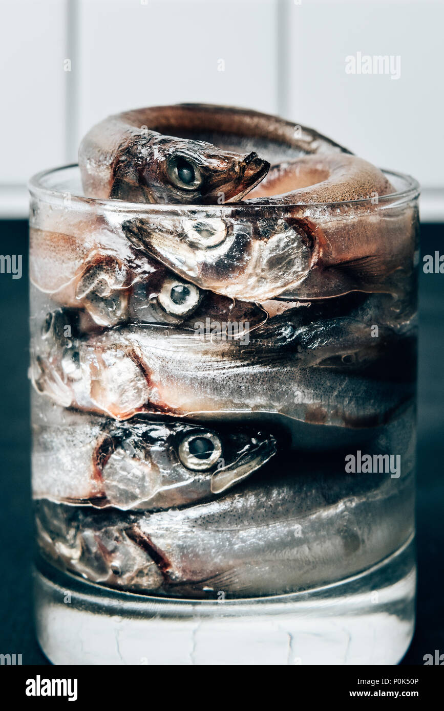 Front view of pile of salted fish in glass Stock Photo