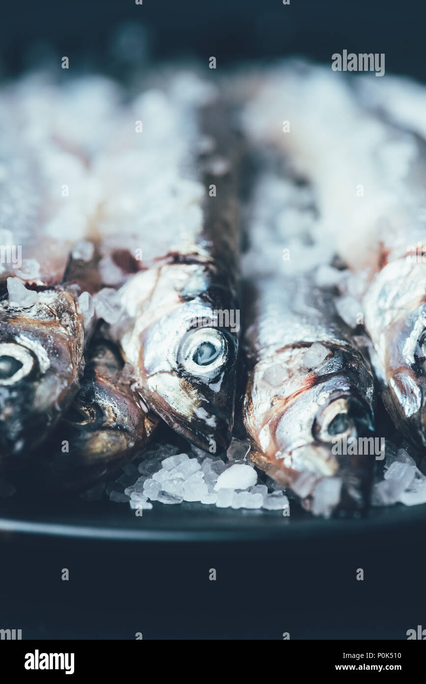 Close up of pile of salted fish in frying pan isolated on black Stock Photo