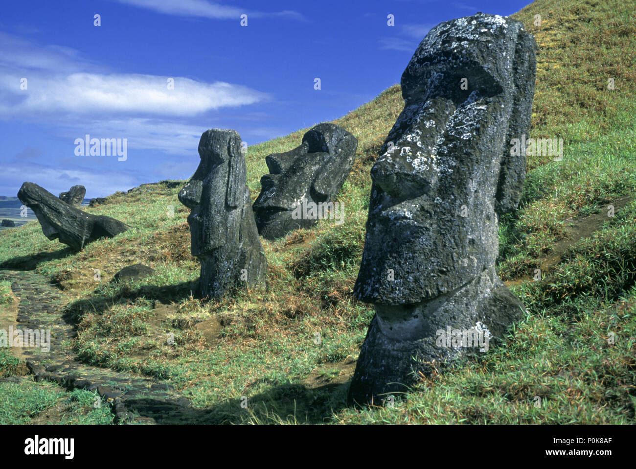1993 HISTORICAL STONE MOAI HEAD STATUES RANO RARAKU EASTER ISLAND RAPA NUI CHILE Stock Photo