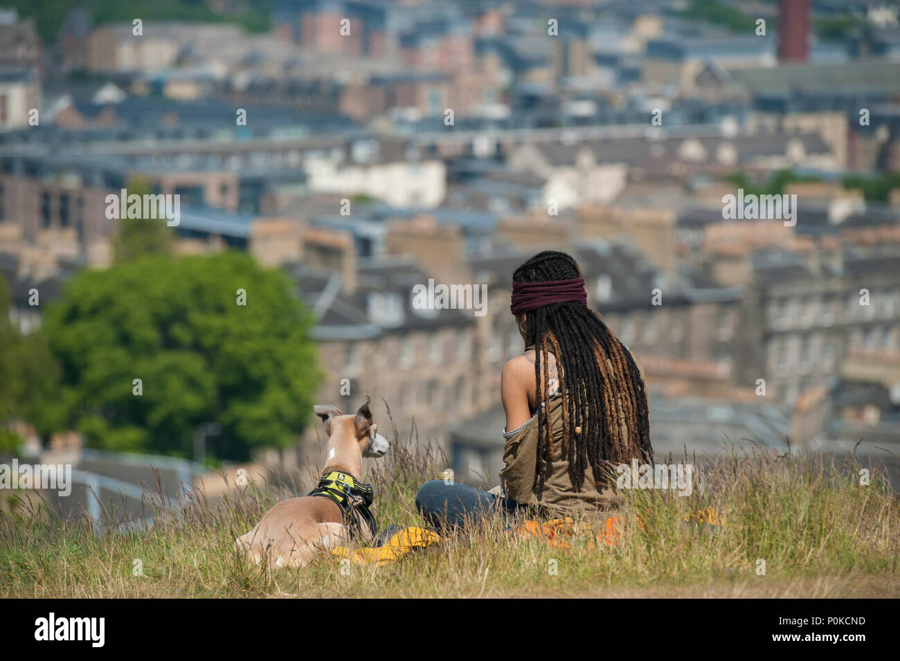 A very cool, bohemian girl sits in the long grass on Carlton Hill on a sunny day with Edinburgh below her and her dog Stock Photo