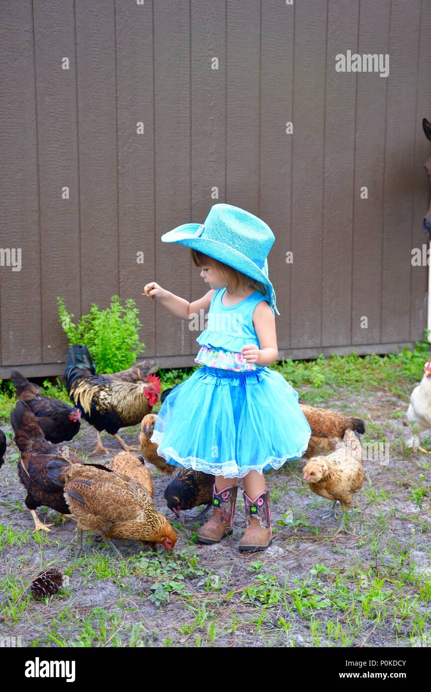 Little girl in blue dress in a farm setting Stock Photo - Alamy