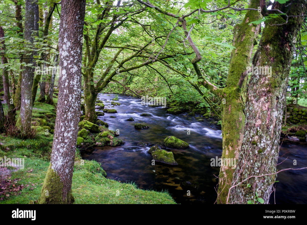 Elterwater beck, Lake District, Cumbria, England Stock Photo