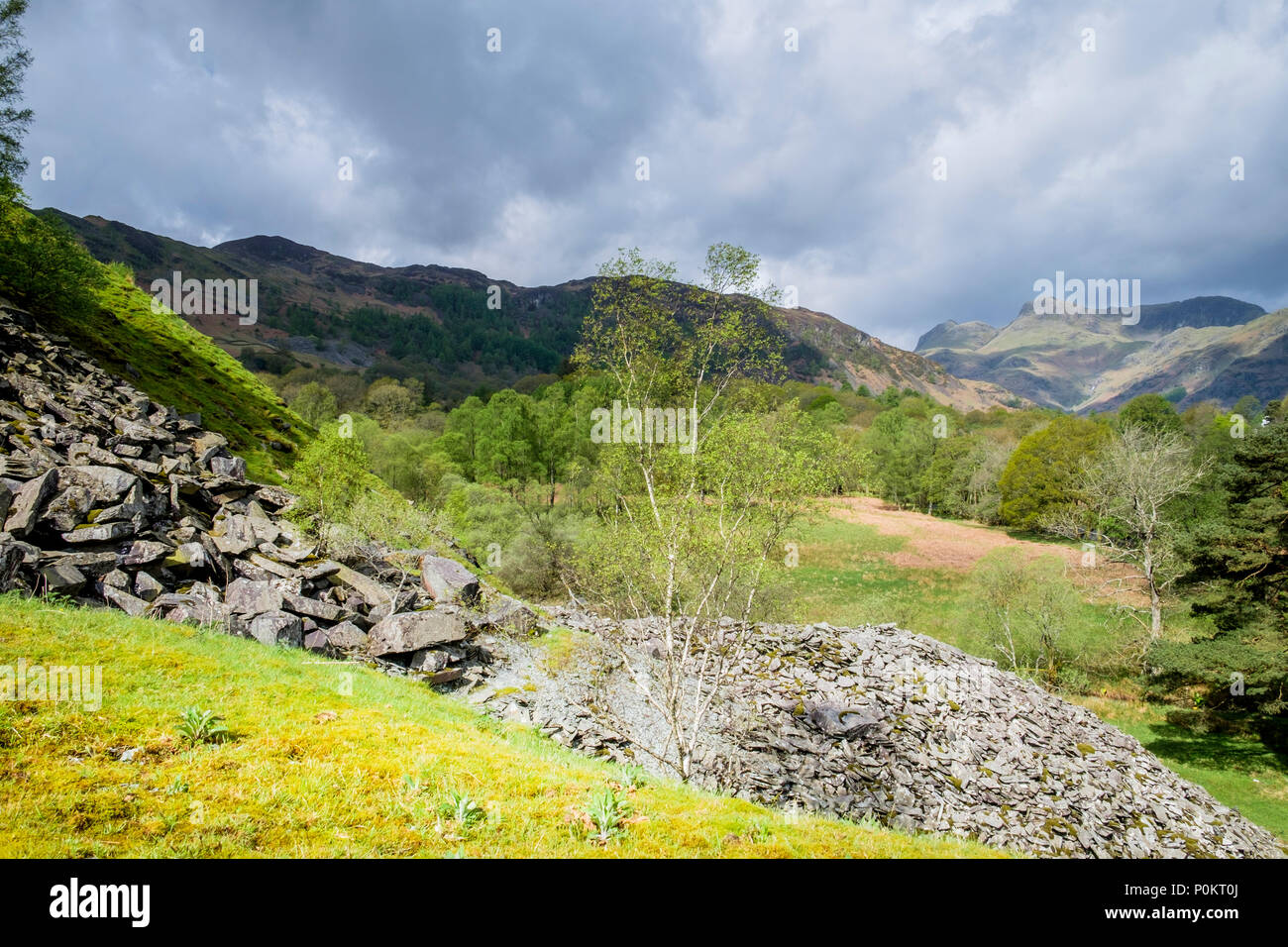 Langdales from Elterwater quarry, Lake District, Cumbria, England Stock Photo