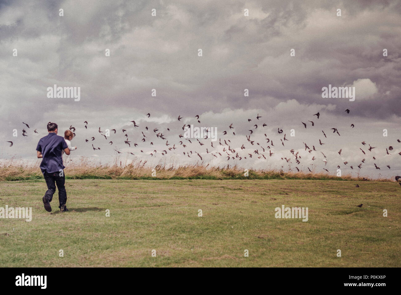 Father and daughter chasing birds on a summer day. Stock Photo