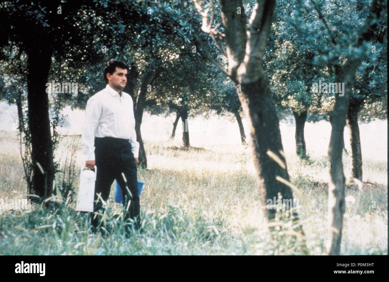 Original Film Title Zire Darakhatan Zeyton English Title Through The Olive Trees Film Director Abbas Kiarostami Year 1994 Stock Photo Alamy