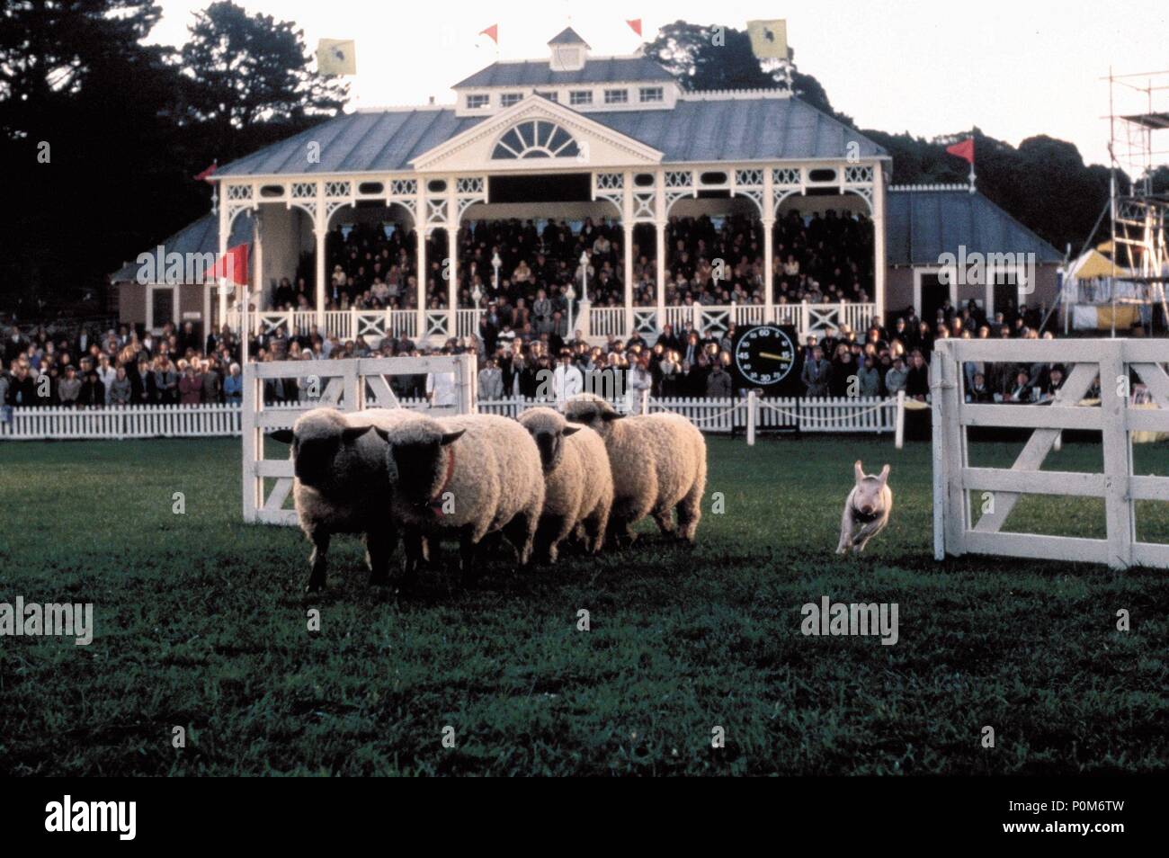 Original Film Title: BABE, THE GALLANT PIG.  English Title: BABE, THE GALLANT PIG.  Film Director: CHRIS NOONAN.  Year: 1995. Credit: UNIVERSAL PICTURES / TOWNLEY, JIM / Album Stock Photo