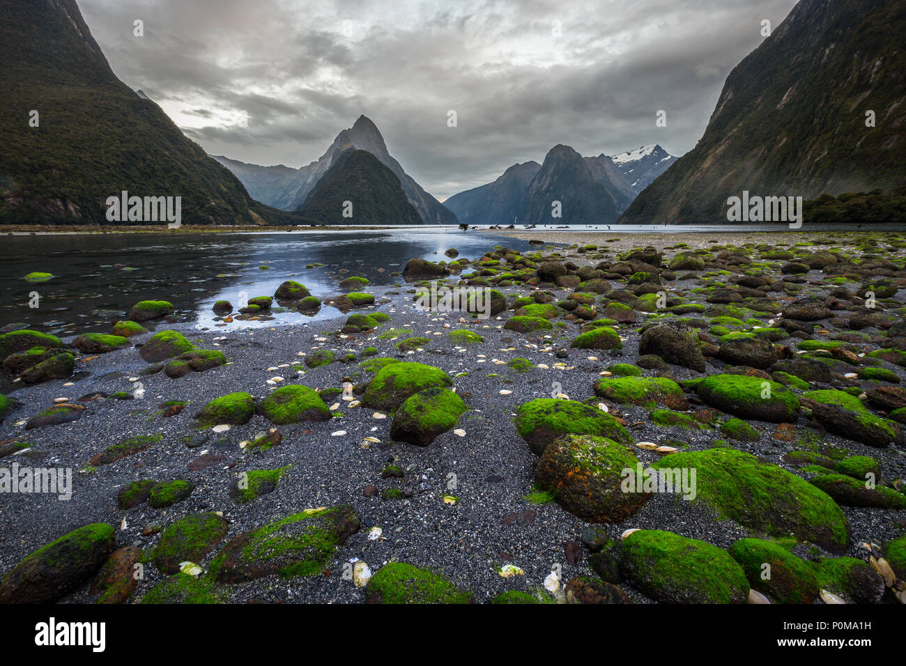 Milford Sound (Piopiotahi) is a famous attraction in the Fiordland