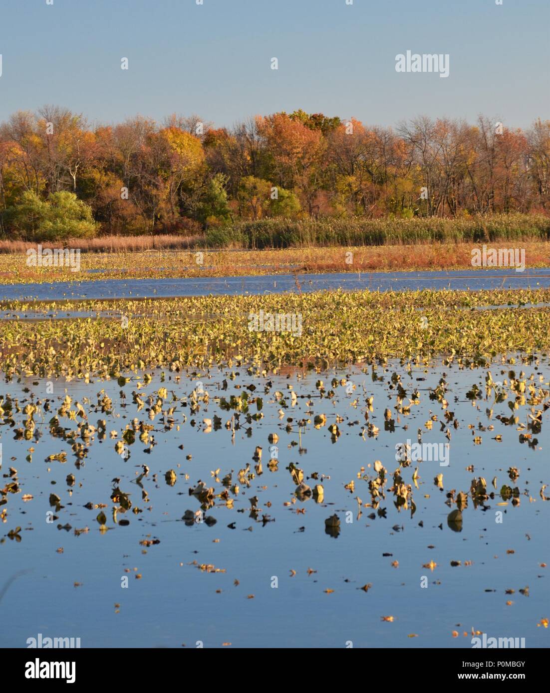 Lake colors hi-res stock photography and images - Alamy