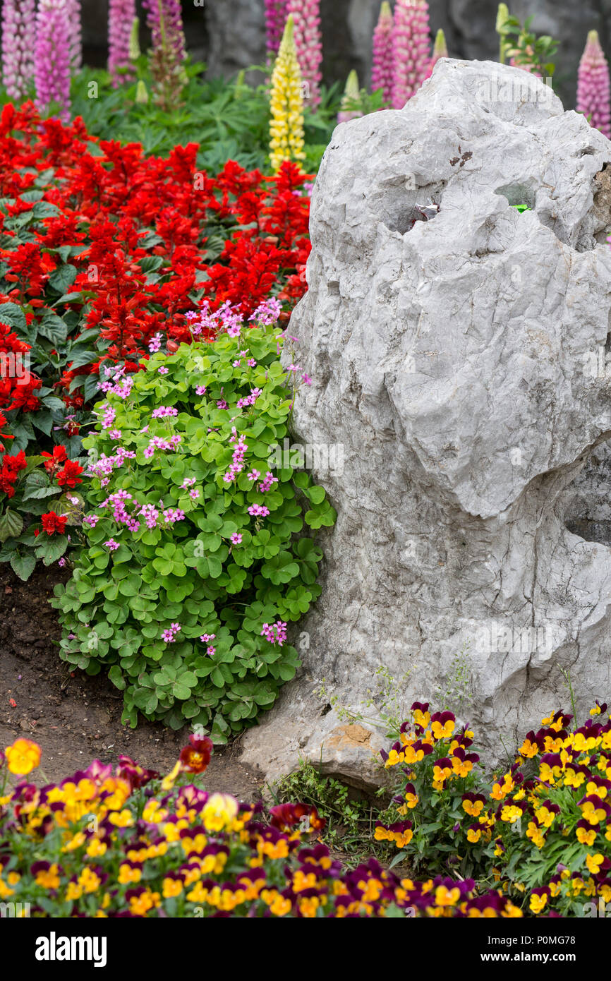 Yangzhou, Jiangsu, China.  Flowers and Rock Formation in Slender West Lake Park Garden. Stock Photo